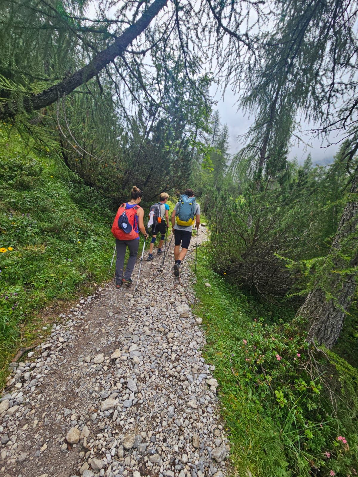 Bergwandern 2.jpg